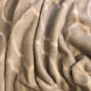 Meet your Posher, Arieanna